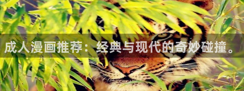 51漫画下拉：成人漫画推荐：经典与现代的奇妙碰撞。