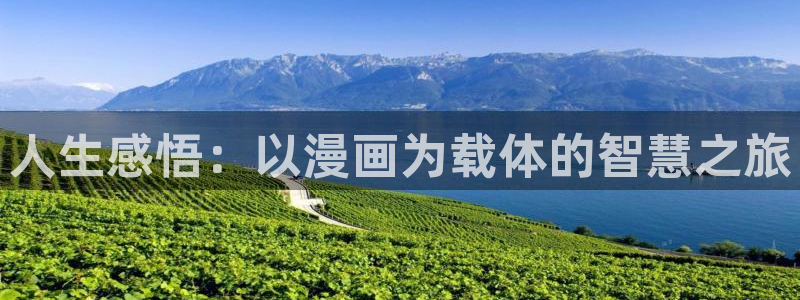 51漫画下载网站：人生感悟：以漫画为载体的智慧之旅